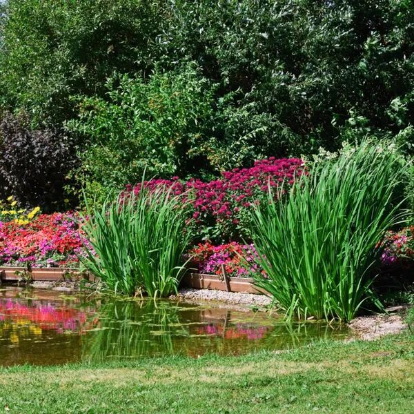 Créateurs d'Espaces Verts pour les Professionnels 