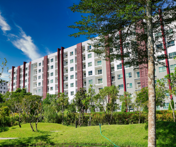 Jardin et espaces verts