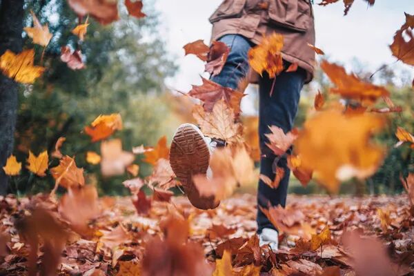 Feuilles au sol : qui est responsable ?