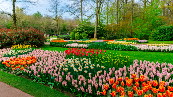 Plante belle pas rebelle 🌱