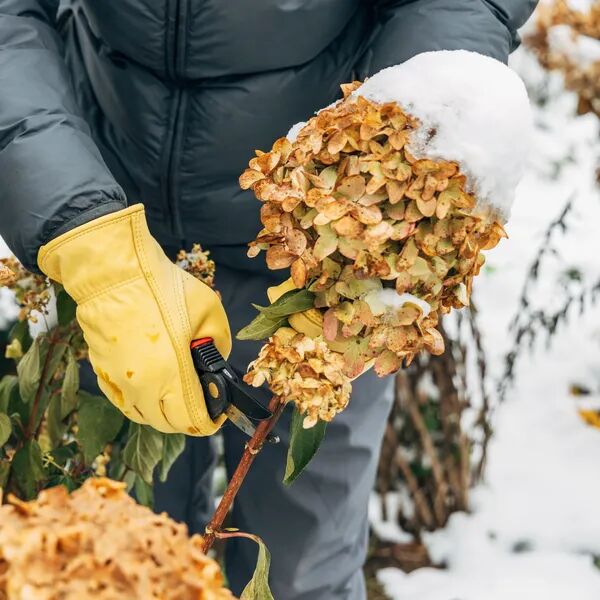 Préparez le printemps dès l’hiver