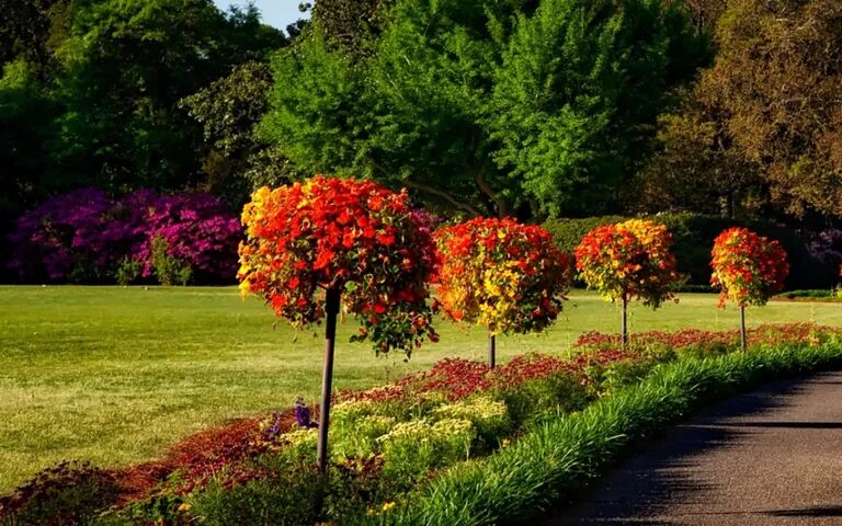 Tranquil'IT Paysages